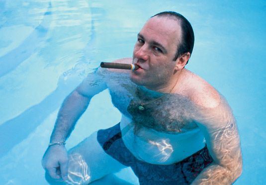 He was sexy and he knew it. In the gay community, Gandolfini would be considered a bear. He didn't swing that way but he would have been very popular if he did. 